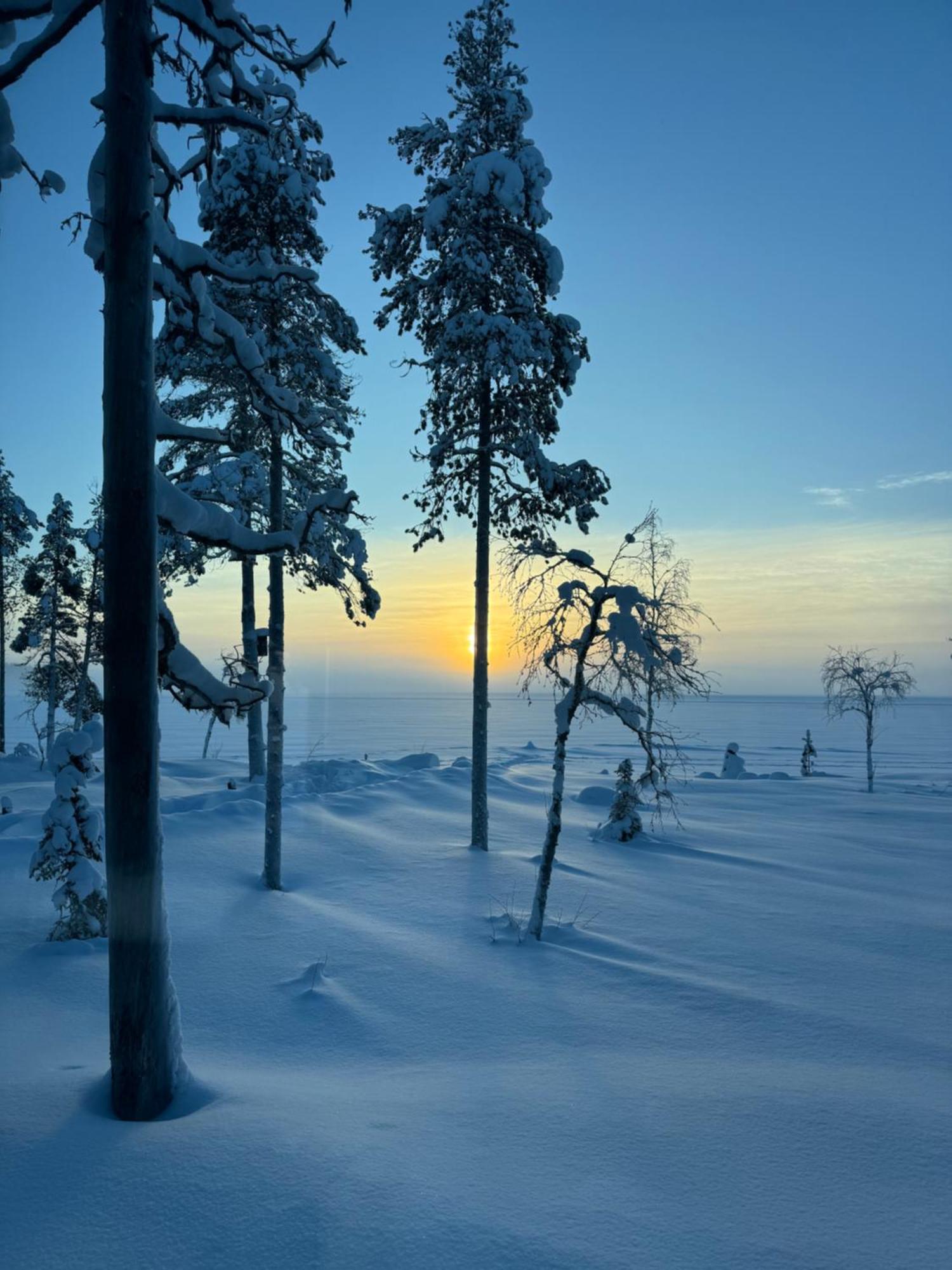 Polaris Villas Muonio Rom bilde